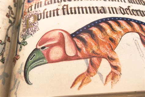 The Luttrell Psalter! A Treasure Trove of Medieval Life and Whimsical Illustrations